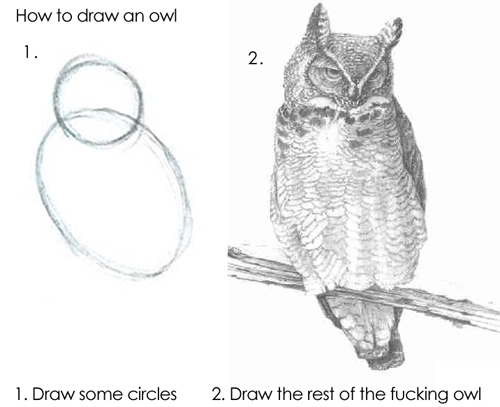 Humorous two-step drawing guide labelled ‘How to draw an owl’. Step 1 shows two rough circles. Step 2 shows a detailed, realistic owl drawing with the caption ‘Draw the rest of the fucking owl’
